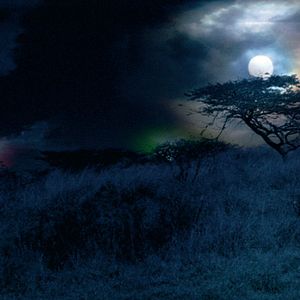 Photo Mario Andreacchio