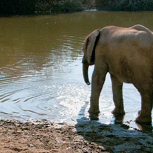 Photo Mario Andreacchio