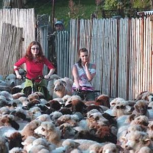 Photo Maria Popistasu