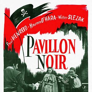 Photo Pavillon noir