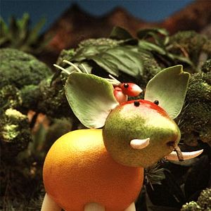 Photo Christophe Barrier