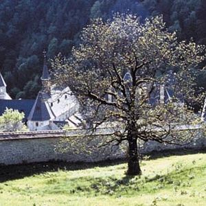 Photo Philip Gröning