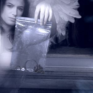 Photo In-sect