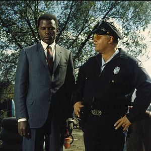 Photo Dans la chaleur de la nuit