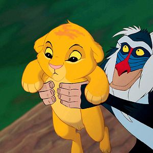 Photo Le Roi Lion