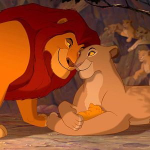 Photo Le Roi Lion
