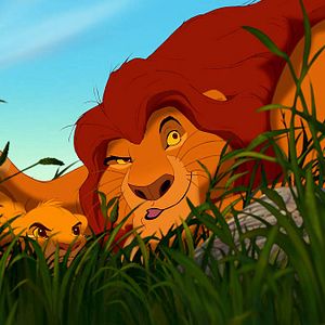 Photo Le Roi Lion