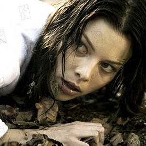 Photo Eli Roth