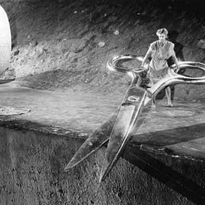 Photo Grant Williams