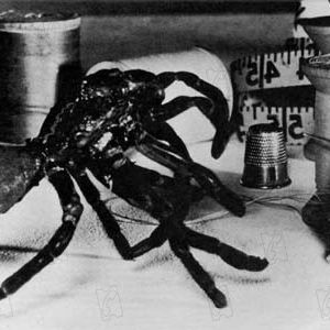 Photo Grant Williams