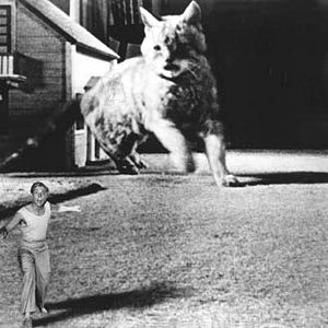 Photo Grant Williams