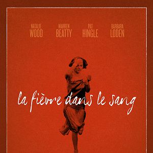 Photo La Fièvre dans le sang