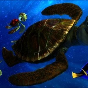 Photo Le Monde de Nemo