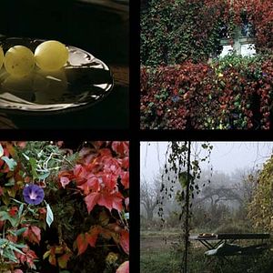 Photo Jean-Paul Fargier