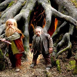 Photo Andrew Adamson