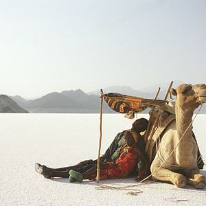 Photo Marion Hänsel