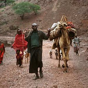 Photo Marion Hänsel