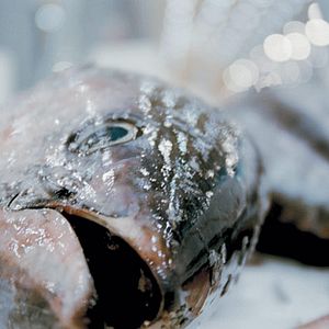 Photo Erwin Wagenhofer