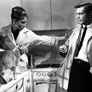 Photo Audrey Hepburn