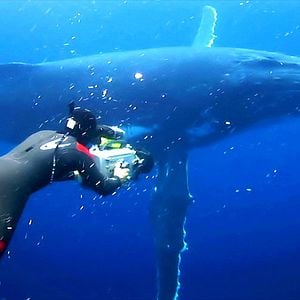 Photo Rob Stewart (II)