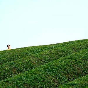 Photo Machiko Ono