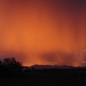 Photo Carlos Reygadas