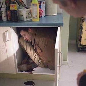 Photo Alex Van Warmerdam