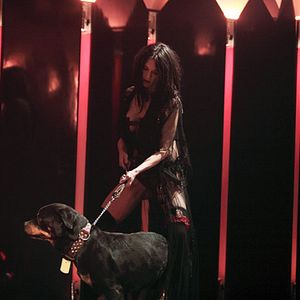 Photo Abel Ferrara