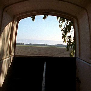 Photo Robinson Devor