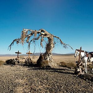 Photo Lucky Luke