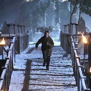 Photo David Cunningham