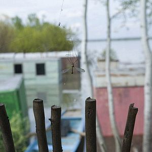 Photo Andreï M. Paounov