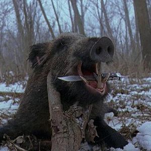 Photo Andreï M. Paounov