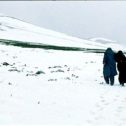 Photo Bahman Ghobadi