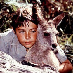 Photo Skippy le kangourou