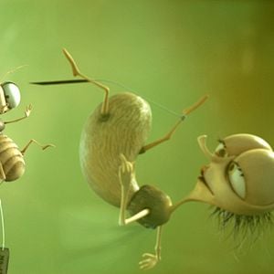 Photo Frederic Guillaume