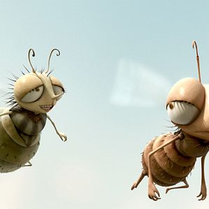 Photo Frederic Guillaume