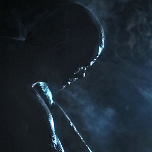 Photo Franck Vestiel