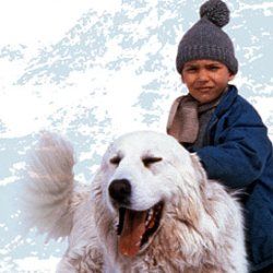 Photo Belle et Sébastien