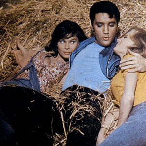 Photo Elvis Presley