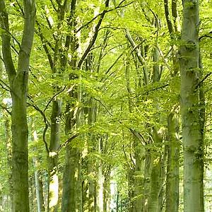 Photo Nanouk Leopold