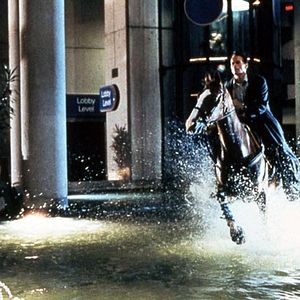 Photo Arnold Schwarzenegger