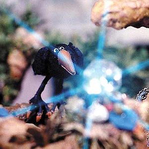 Photo Abdollah Alimorad