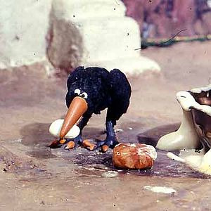 Photo Abdollah Alimorad