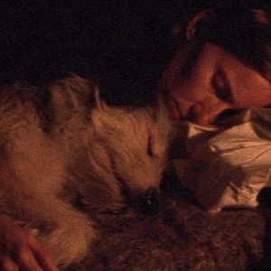 Photo Diego Martinez Vignatti