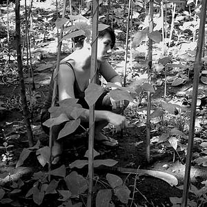 Photo Death in the Land of Encantos (Partie 1)