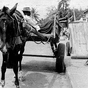Photo Sembene