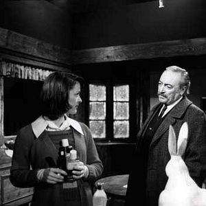 Photo Jacques Debary