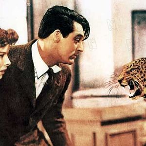 Photo Katharine Hepburn