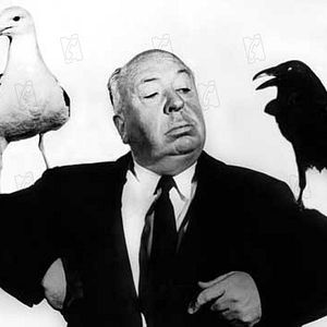 Photo Les Oiseaux